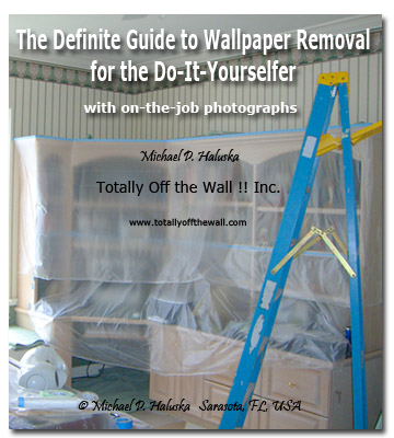 Wallpaper Removal eBook DIY